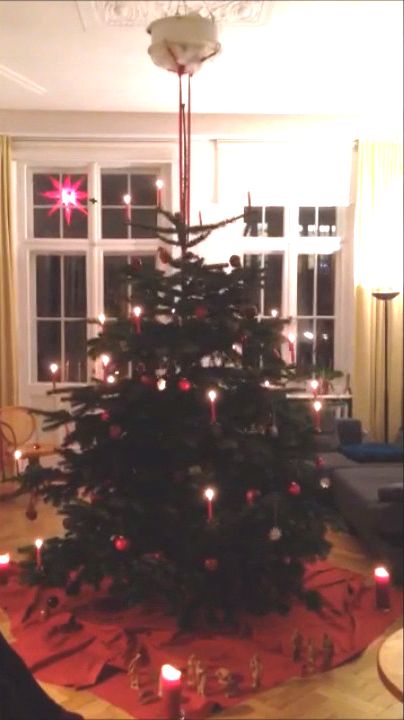 Weihnachtsbaum hängend  drehend