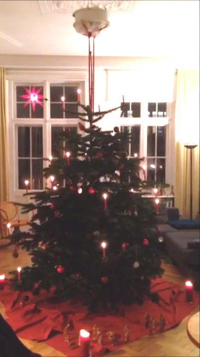 Weihnachtsbaum hngend  drehend